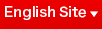 English Site