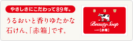 あらためまして、わたしが赤箱です。
