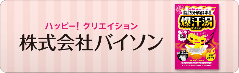 株式会社バイソン