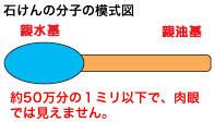 石けんの分子の模式図