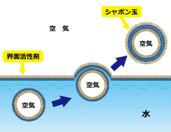 泡立ちの仕組み